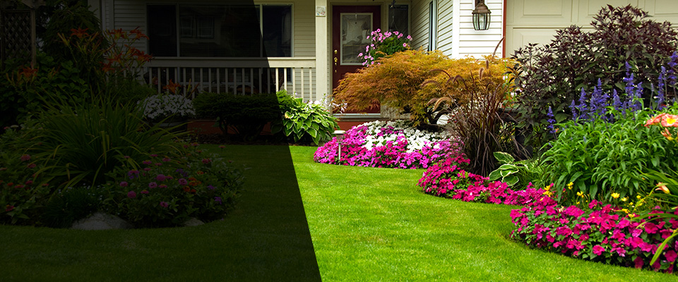 District Heights Landscapers