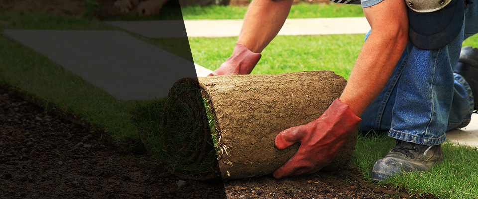 District Heights Landscapers